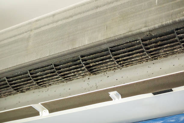 Best Affordable Duct Cleaning Services  in South Alamo, TX